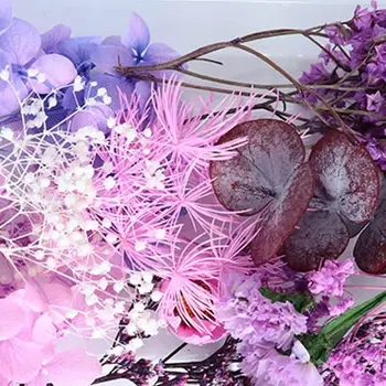 1 Polje Konzervirane Cvet DIY Posušen Cvet Lepe Svetle barve Posušen Cvet Stilsko Vizualni Učinek Posušen Cvet Zaslon