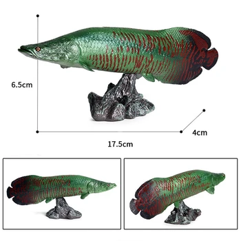 3Pcs Divje Ribe Živali Slika Polypterus delhezi Arapaima gigas Pirarucu Aligator Gar Atractosteus Lopatico Izobraževalni Model Igrača
